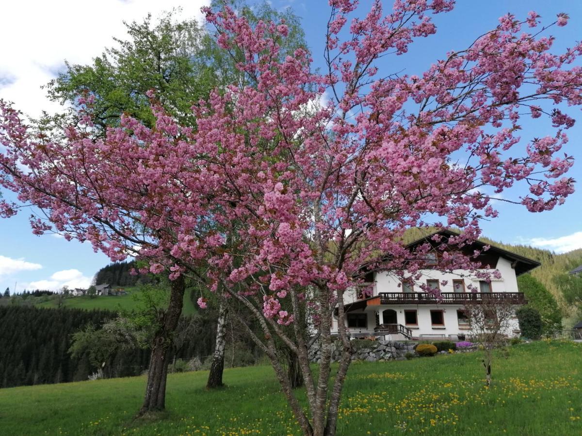 Sinsamreith, Familie Ensmann Villa Göstling an der Ybbs Eksteriør bilde